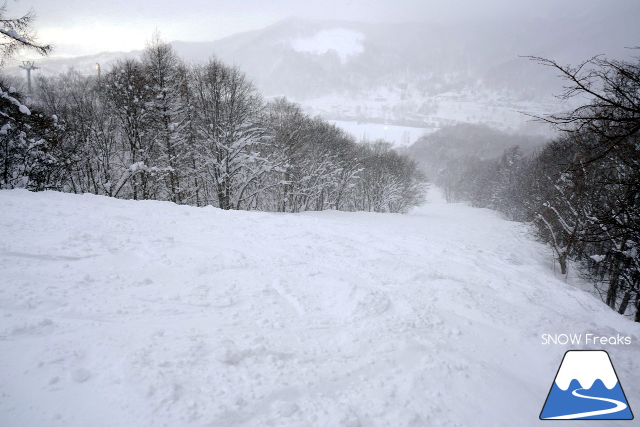 記録的大雪となった夕張マウントレースイは、午後からでもパウダー天国!!